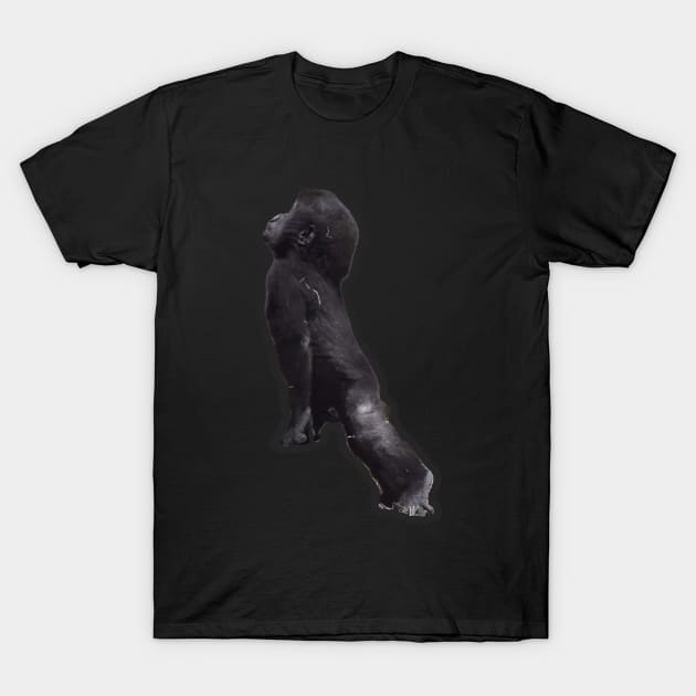 Baby Gorilla T-Shirt by Sharonzoolady